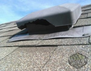 plastic roof damaged squirrel removal peterborough