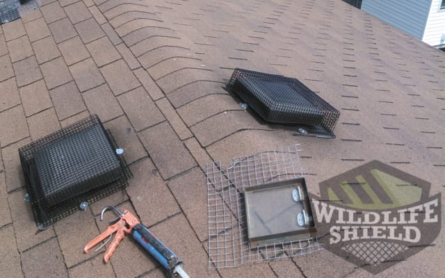 roof vent protection Peterborough